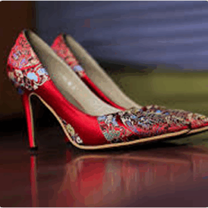 Ladies Shoe