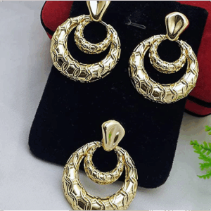 Ladies earrings